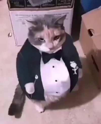 I present to you, my new favorite video. This is me staring down the cashier as she scans 6 bottles of delsym and a bottle of benadryl.