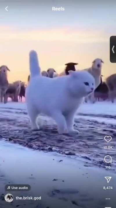 Please help with name of song tried looking but no luck