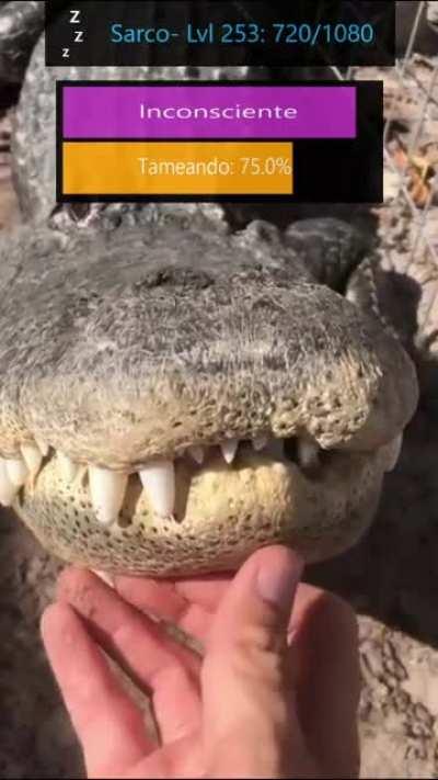 Tameando tranquilamente XD