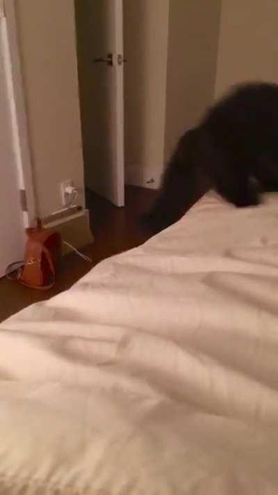 This shadow keeps attacking my feet