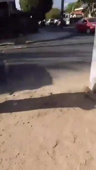 Detención ciudadana con alusa en Villa Alemana (sujeto habría sido sorprendido robando vehículos y agrediendo a un adulto mayor).