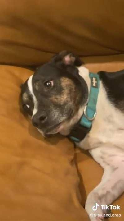 Who could of done it?