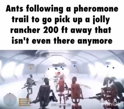 Some 7 year old saw it on the ground and grabbed it