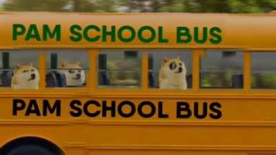 Doge Le(arns) a Le(sson)