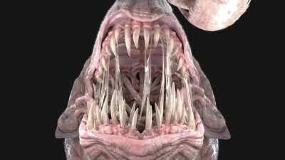 My work :) Do you think it's a bit scary?