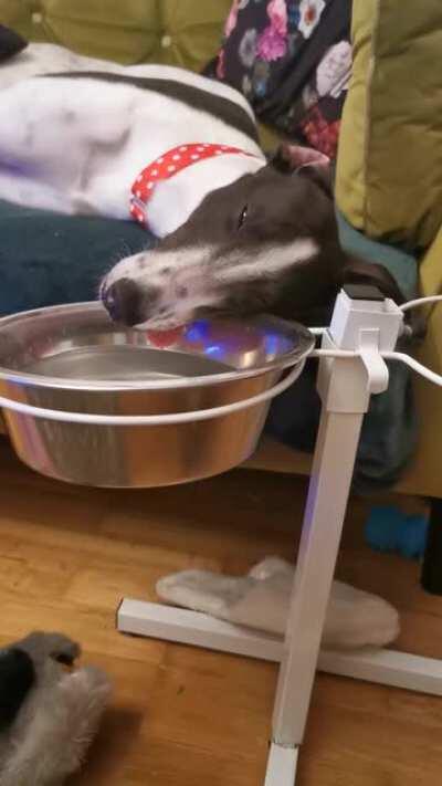 I was told this belongs here.