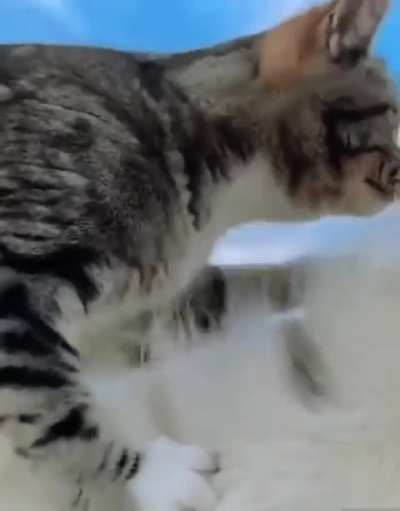 Hey bro, wanna ride?