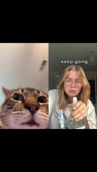 yooo eminem cat!!!!!