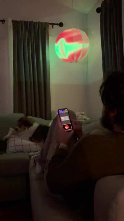 couldn’t find a dog sitter, so i made the eye of sauron