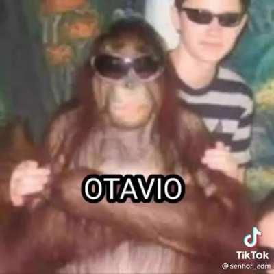 escolha complicada 😥