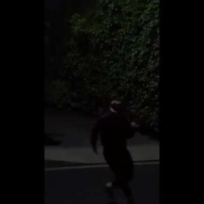 Still one of my favourite clips lmao