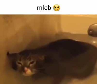 Mleb😢