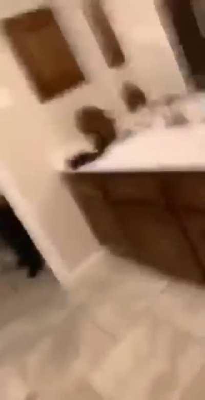 And at this exact moment Riley knew he fucked up