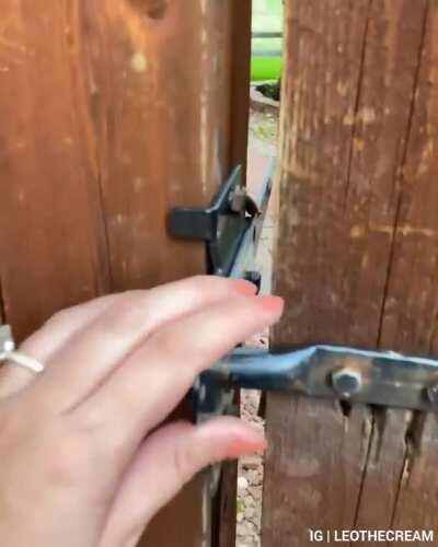 they are TERRIFYING...ly cute