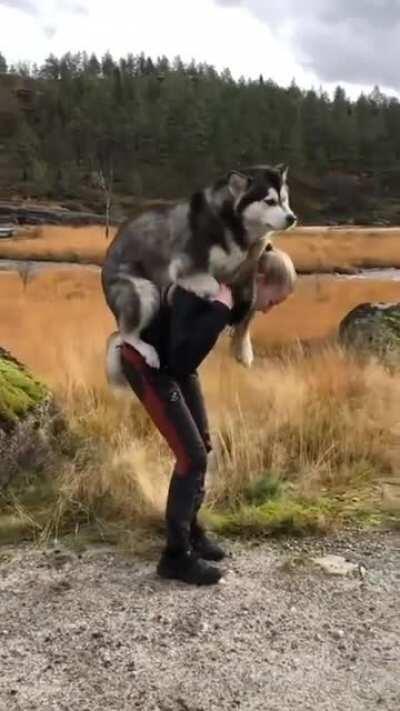 Hooman I'm tired, pls carry me