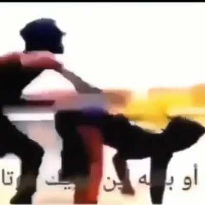 Beelce despues de encontrar a tu mama: