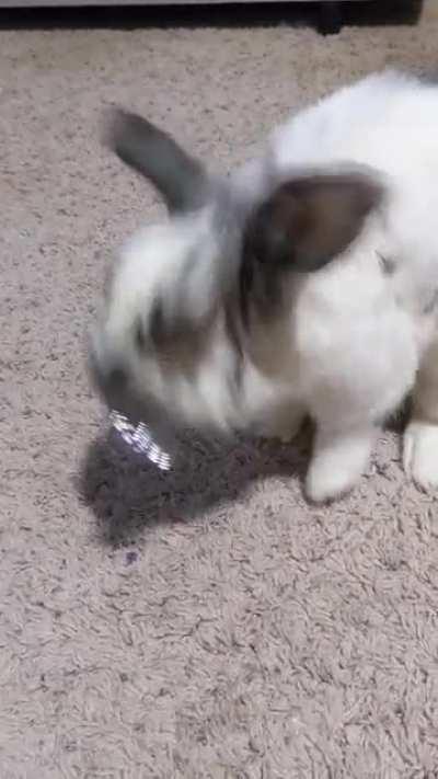 Death to the evil comb!