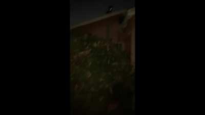 Watching from above..