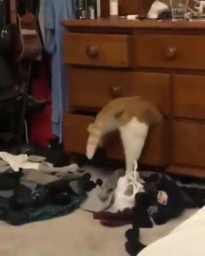 Those hips don't lie