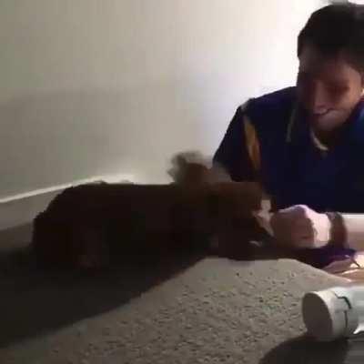 Happy their best pal is back