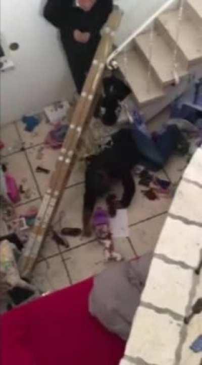 What could go wrong holding a ladder while trying to put on a chandelier