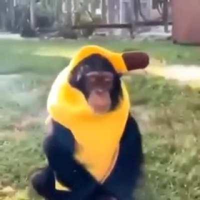 mamaco bamama 😱😱😱😤😤😤🤯🤯🤯💯💯