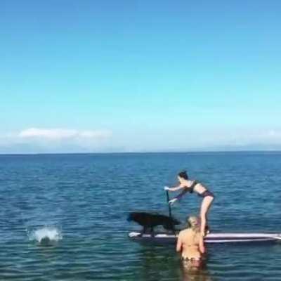 Applied physics with Professor Good Boy