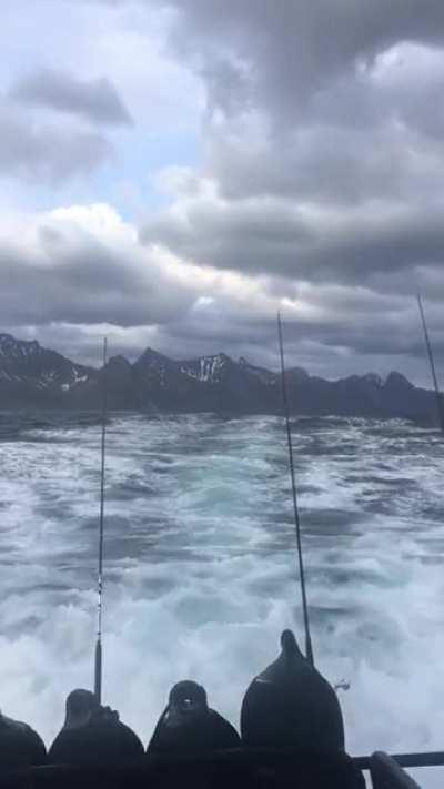 Fishing in arctic sea is something different