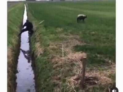 all that effort for nothing