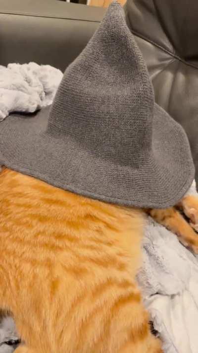 Every Good Mage Needs An Assistant