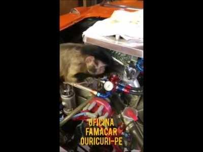 Titulo foi consertar o carro