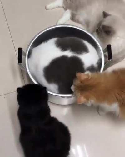 when you want to be alone for a while