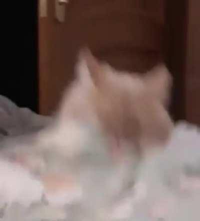 You're not you when you're hungry