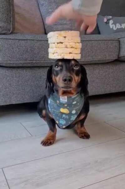 Not the rice cakes again.