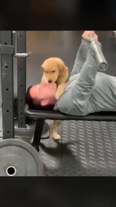 ViCiOuS CrEaTuRe AtTaCkS hOoMan DuRiNG WoRkOuT