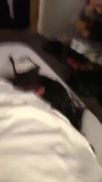 Add to Polybaddest for more