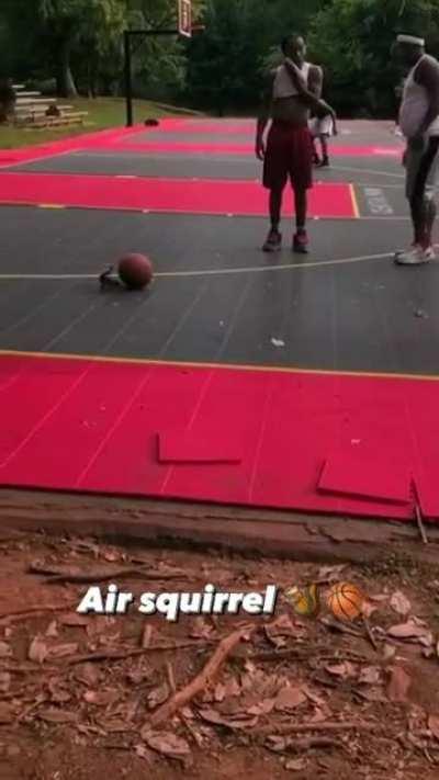 A squirrel plays basketball
