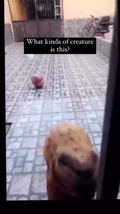 That’s Some Flexibility