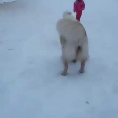 Living their best live together