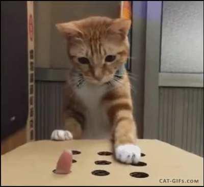 Watching your covered calls on a Green Day