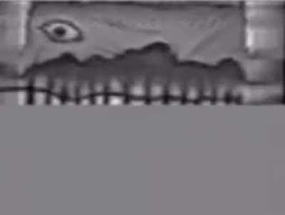 Live Panopticon reaction