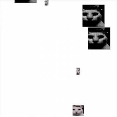 Your video is: damn gamed