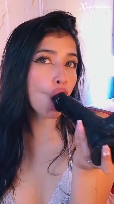 Blowjob GIF by xlovecam