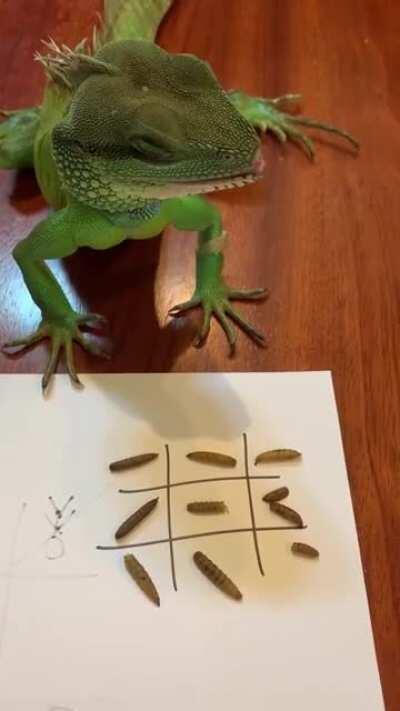 Playing Tic Tac toe, he’s not very good at it but he tries