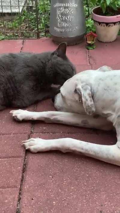 He’s a very good big brother