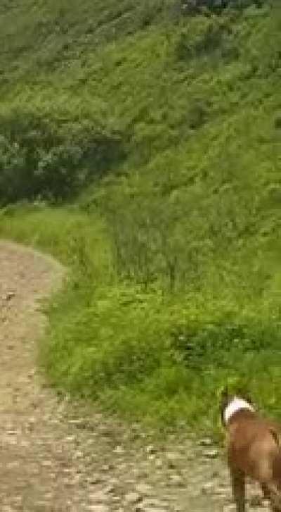 HMFT after I roll down a hill