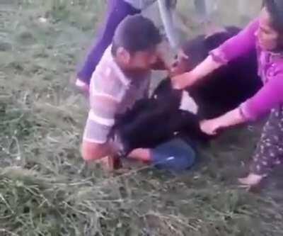 Turkish man saves cow from suffocation after eating a plastic bag