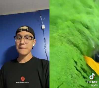 Wow what a cool reaction