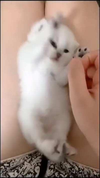 Good morning everyone 🥰