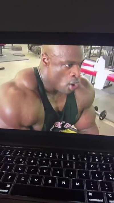 yeah buddy spongebob voice version